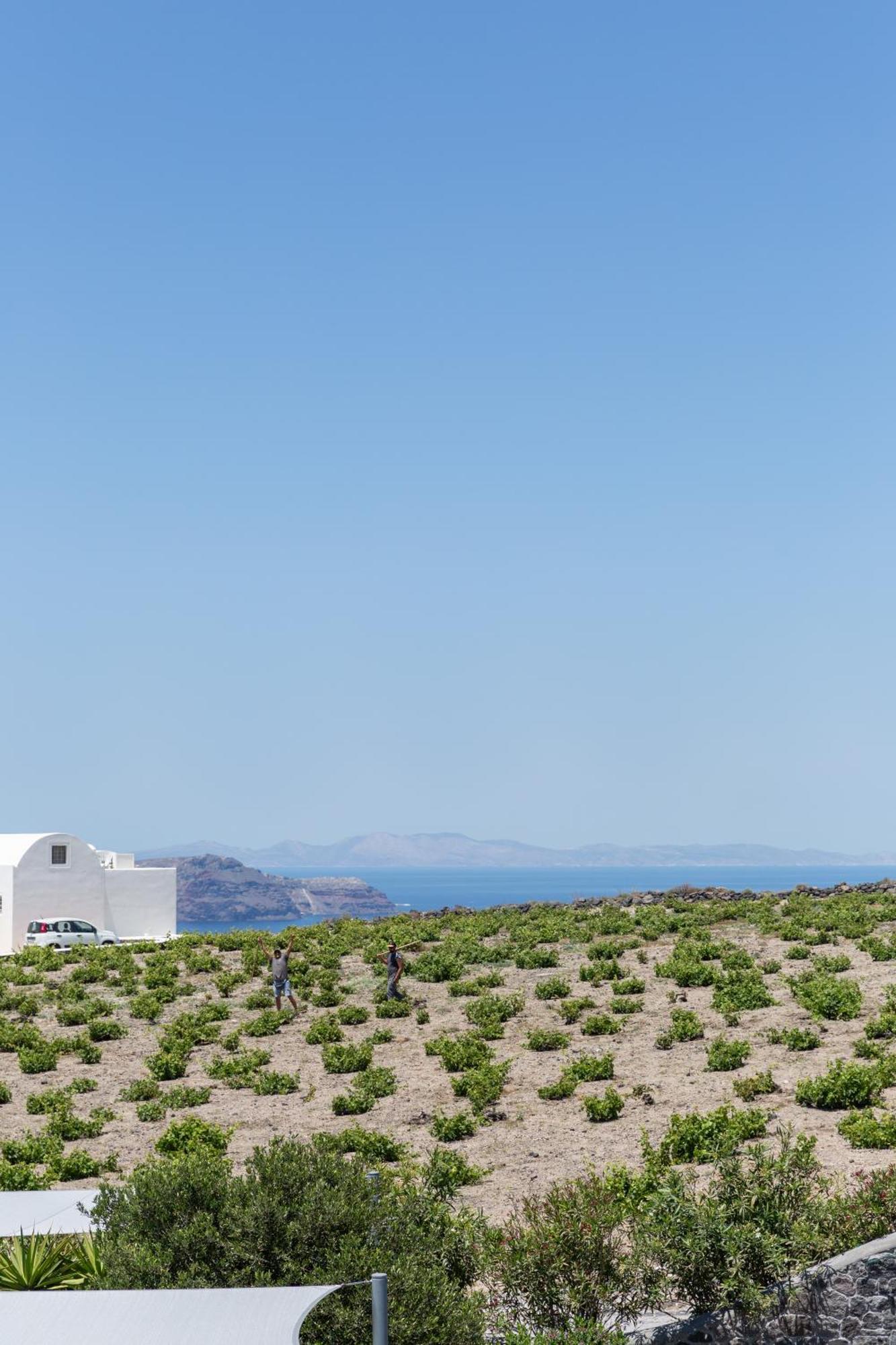 Soil Of Sun Luxury Villas 메갈로호리 외부 사진